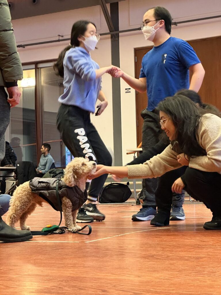 Exam Jam event: therapy dogs